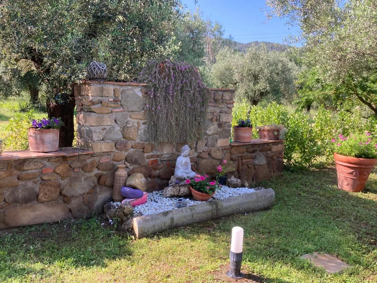 Agriturismo Buen Camino Scarlino