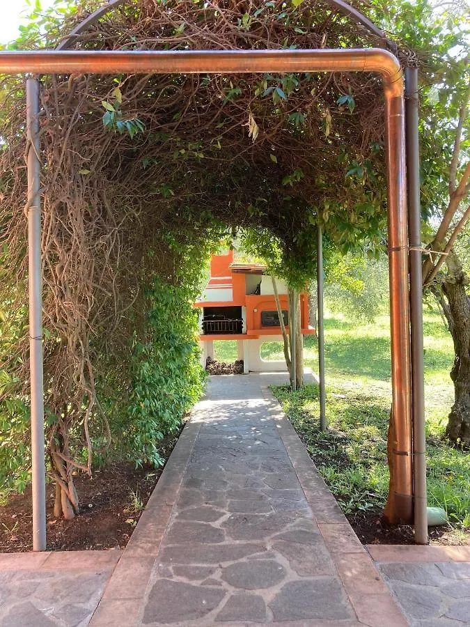 Agriturismo Buen Camino Scarlino Italy